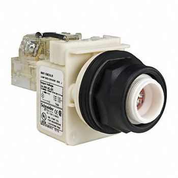 SCHNEIDER ELECTRIC Push to Test Pilot Light Red LED, 45J187