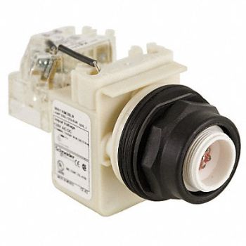 SCHNEIDER ELECTRIC Push to Test Pilot Light Red LED, 45J195