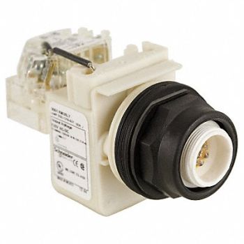 SCHNEIDER ELECTRIC Push to Test Pilot Light LED, 45J198