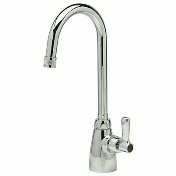 Gooseneck Chrome Zurn AquaSpec Brass, 45K786