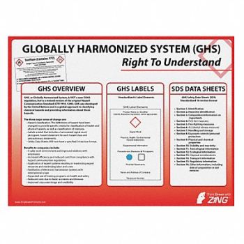 ZING Poster 18 in x 24 in Plastic, 45L109