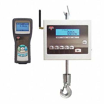 TORBAL Crane Scale LCD 150kg/300 lb Cap., 45LH01