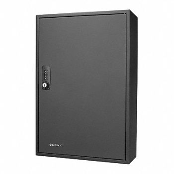 BARSKA Key Cabinet Wall Mount 200 Key Cap., 465D77