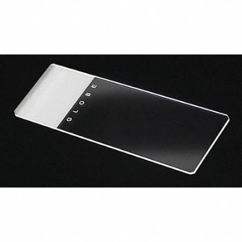 GLOBE SCIENTIFIC Microscope Slide Frosted 25x75mm PK144, 46AW76