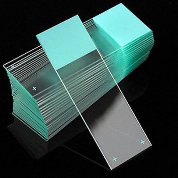GLOBE SCIENTIFIC Microscope Slide Aqua 25x75mm PK72, 46AW79