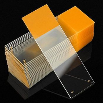 GLOBE SCIENTIFIC Microscope Slide Gold 25x75mm PK72, 46AW81