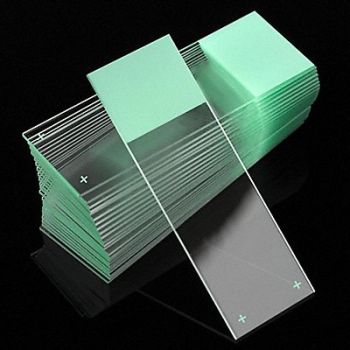 GLOBE SCIENTIFIC Microscope Slide Green 25x75mm PK72, 46AW82