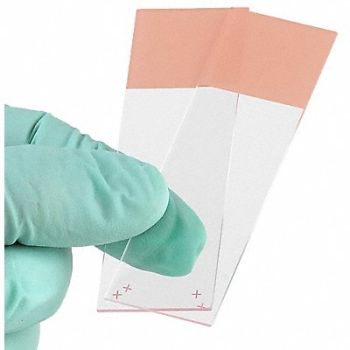 GLOBE SCIENTIFIC Microscope Slide Orange 25x75mm PK72, 46AW84