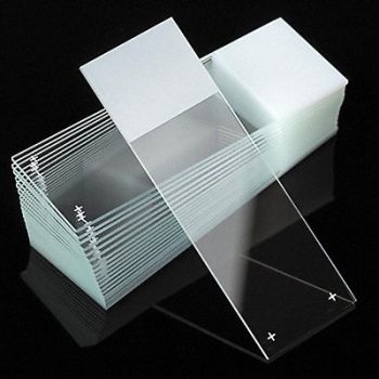 GLOBE SCIENTIFIC Microscope Slide White 25x75mm PK72, 46AW87