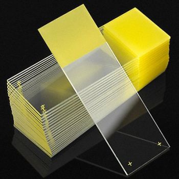 GLOBE SCIENTIFIC Microscope Slide Yellow 25x75mm PK72, 46AW88