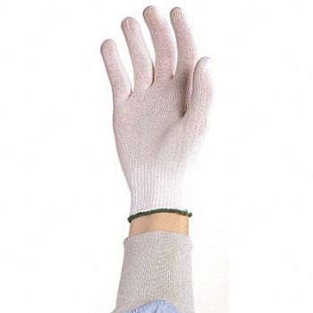 BERKSHIRE Cleanroom Gloves Polyester Size L PK10, 46D075