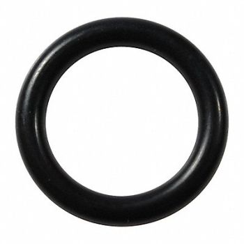 GRAINGER APPROVED O-Ring, 46G933