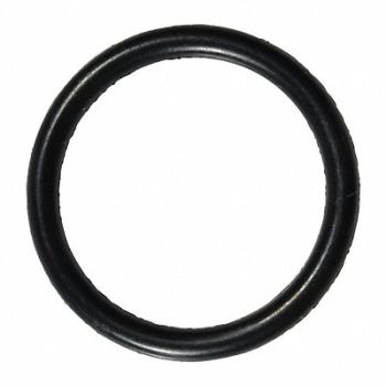 GRAINGER APPROVED O-Ring, 46G954