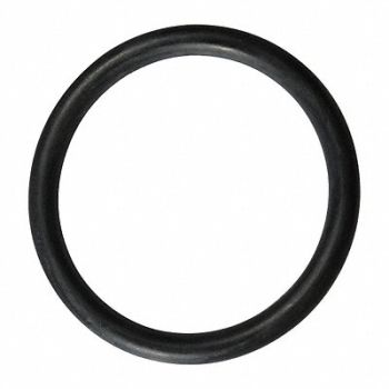 GRAINGER APPROVED O-Ring, 46G961