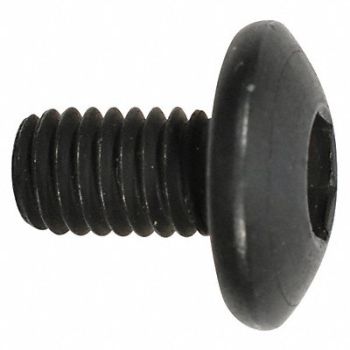 GRAINGER APPROVED Screw M6x10, 46J511