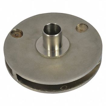 DAYTON Pump Impeller 100mm 304 SSteel For 4JMV3, 46K839