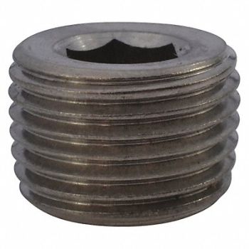 DAYTON Plug, 46L081