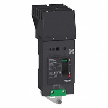 SQUARE D Circuit Breaker 125A 2P 277/480VAC BDA, 482C38