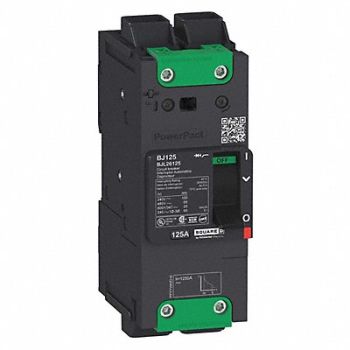 SQUARE D Circuit Breaker 80A 2P 690VAC BJL, 482H07