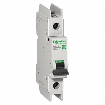 SCHNEIDER ELECTRIC IEC Mini Circuit Breaker 0.5A 1P 240V, 482N34