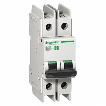 SCHNEIDER ELECTRIC IEC Mini Circuit Breaker 40A 2P 240V, 482M95