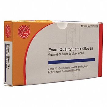 GRAINGER APPROVED Disposable Gloves Vinyl Universal PK4, 482W87