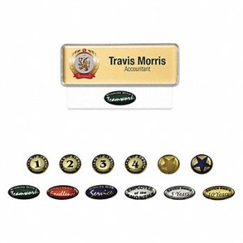 MIGHTY BADGE Badge Star Blank Legend PK10, 482Y97