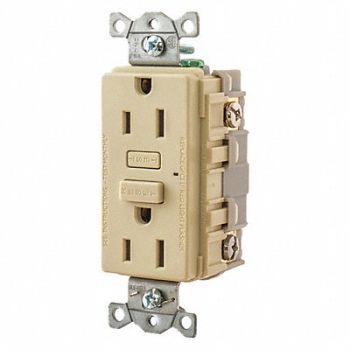 GRAINGER APPROVED GFCI Receptacle Self-Testing 2 Poles, 483P62