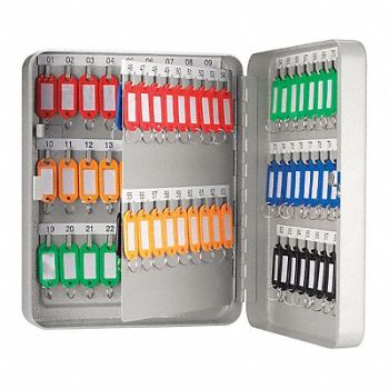 BARSKA Key Box Wall Mount 90 Key Cap., 484P02