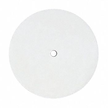 ACTION TARGET Spotter Disk Scoring/Qualification PK25, 484X03