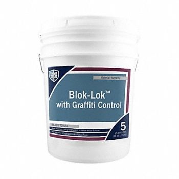 RAINGUARD Anti-Graffiti Barrier Clear 5 gal Size, 488A39