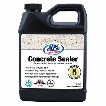RAINGUARD Deep Penetrating Sealer Clear 1 qt. Sz, 488A48