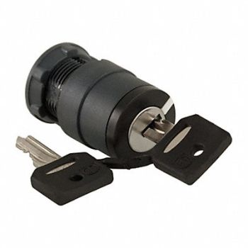 SCHNEIDER ELECTRIC Non-Illum Selector Swtch 22mm 2 Pos Keyd, 48K806