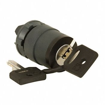 SCHNEIDER ELECTRIC Non-Illum Selector Swtch 22mm 2 Pos Keyd, 48K817