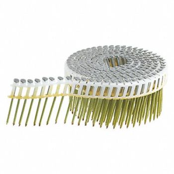 SENCO Siding Nail 13 ga. 2-1/4 in L PK3600, 48LP98