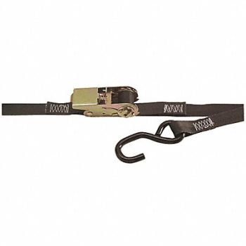 KINEDYNE Tie Down Strap Ratchet Poly 10 ft., 48PX39