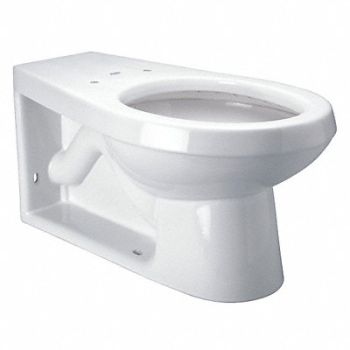 ZURN Toilet Bowl Elongated Floor w/BackOutlet, 48RT66