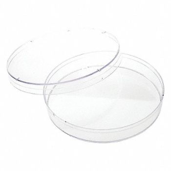 CELLTREAT Petri Dish Polystyrene 1 Well PK500, 48TD82
