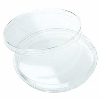 CELLTREAT Petri Dish Polystyrene 1 Well PK300, 48TD84