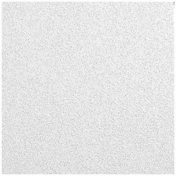ARMSTRONG Ceiling Tile 24 in L 24 in W PK12, 48WC07