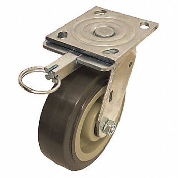 GRAINGER APPROVED Standard Plate Caster Swivel 750 lb., 490W06