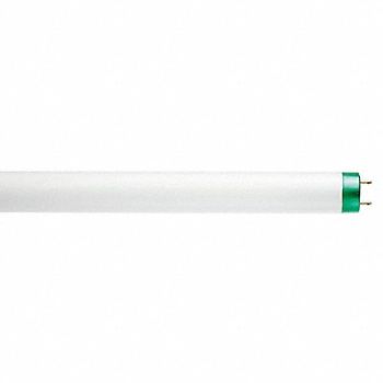 PHILIPS Linear FLUOR Bulb T8 48 L G13 5000K, 492X67