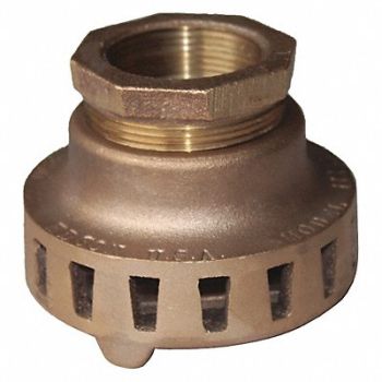 EDSON Suction Strainer 1-1/2 FNPT Side Round, 49DR50