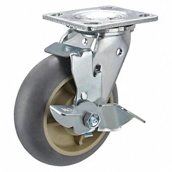 GRAINGER APPROVED Standard Plate Caster Swivel 500 lb., 49H614