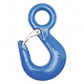 CAMPBELL Hoist Hook 3000 lb Latch Eye Alloy Steel, 49JN61