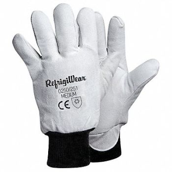 REFRIGIWEAR Leather Gloves Gray XL PR, 49T969