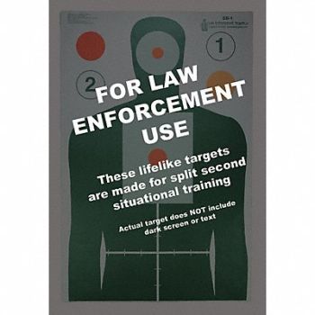 ACTION TARGET Minnesota Criminal Justice Target PK100, 49U446