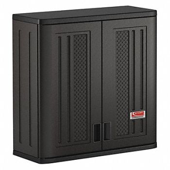 SUNCAST Wall Cabinet 30-1/4 H 30 W Dark Gray, 49WX79