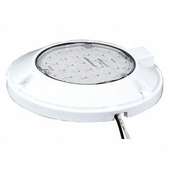 MAXXIMA Dome Light Round Clear, 49XE37