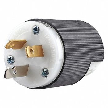 GRAINGER APPROVED Straight Blade Plug Black/White 2.0 HP, 49YY40